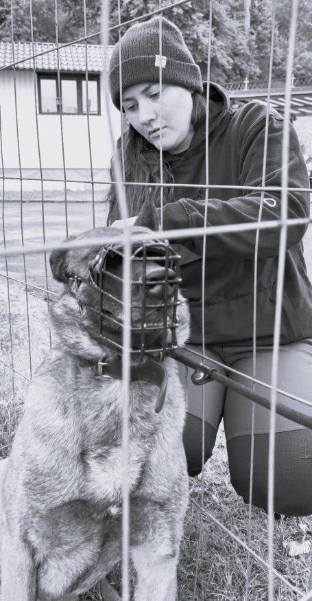 Eine Person in einem Käfig mit einem Hund, der einen Maulkorb trägt.