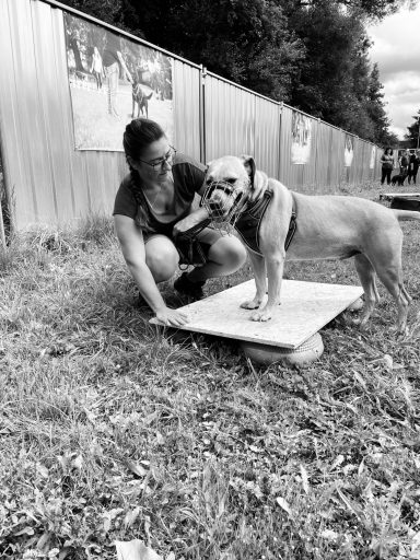 Mensch kniet neben einem Hund, der auf einer Platte steht, im Freien auf Gras.