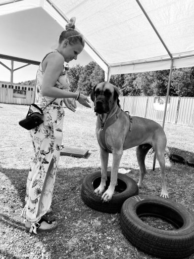 Frau mit Hund steht auf Reifen, draußen in einem Trainingsbereich.